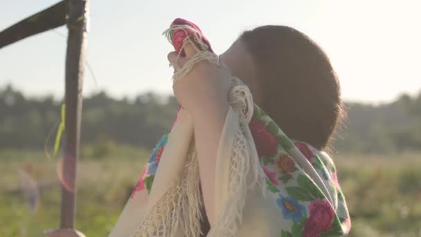 Porträtt av vacker övervikt kvinna torka pannan med en sjal efter klippning gräset med lie på sommaren fältet. Vackert landskap. Folklore, traditioner. Arbete i fält. — Stockvideo