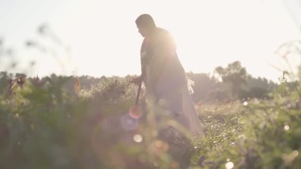 Hermosa mujer con sobrepeso cortando la hierba con la guadaña en el campo de verano verde. Folclore, tradiciones. Trabaja en el campo. agricultora que trabaja en el fondo de la salida del sol en su granja. Bengalas de lente . — Vídeo de stock