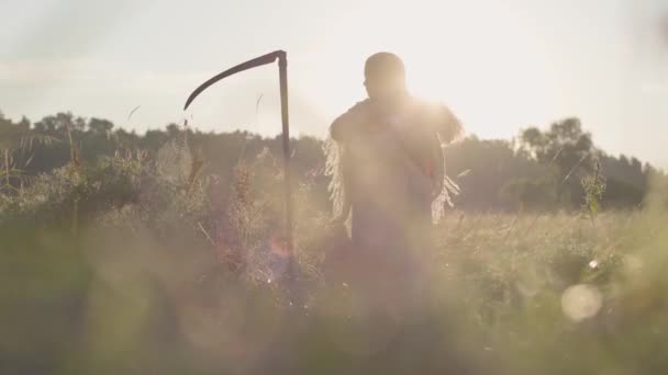 Красивая толстая женщина с косой, заплетающая волосы в солнечном свете на зеленом летнем поле. Фольклор, концепция традиций. Работаем в поле. Линзы вспышки. Настоящая сельская женщина . — стоковое видео