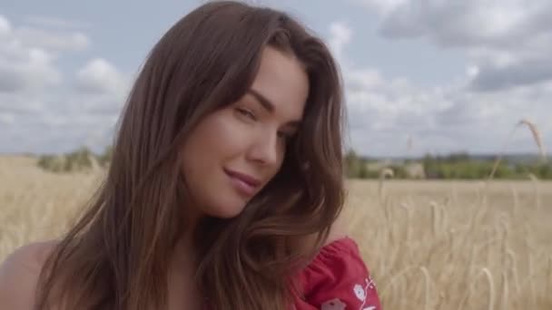 Ritratto di donna attraente con i capelli lunghi in posa sul campo di grano. Connessione con la natura, bellezze naturali . — Video Stock