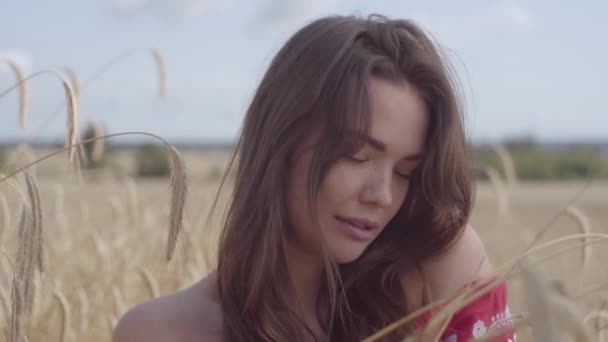 Ritratto bella giovane donna godendo la natura e la luce del sole nel campo di grano a raggi di sole colorati incredibili. Carino ragazza sicura di sé guardando la fotocamera all'aperto. Stile di vita rurale. Serie persone reali . — Video Stock