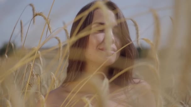 Portret van een aantrekkelijke vrouw met lange haren poseren op de tarwe veld close-up. Gele oren op de voorgrond. Verbinding met de natuur, natuurlijke schoonheid. Oogsttijd — Stockvideo