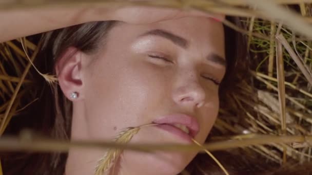 Close-Up portré bájos fiatal nő élvezi természet feküdt a búza mező hihetetlen színes nap sugarai. Aranyos magabiztos lány. Vidéki életmód. Valódi emberek sorozata. — Stock videók