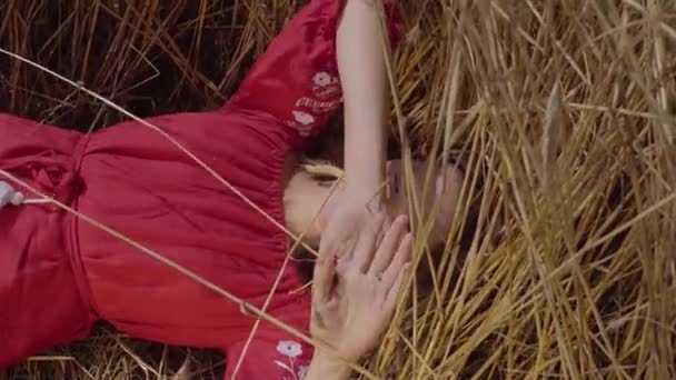 Ritratto affascinante giovane donna godendo la natura sdraiata nel campo di grano a raggi di sole colorati incredibili. Bella ragazza sicura di se '. Serie persone reali . — Video Stock