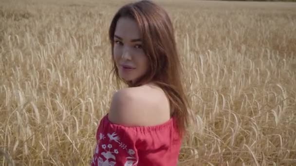 Портрет чарівної молодої жінки, яка насолоджується природою та сонячним світлом у пшеничному полі на неймовірно барвистих сонячних променях. Мила впевнена дівчина дивиться на камеру на відкритому повітрі. Серія реальних людей . — стокове відео