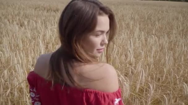 Back view of an attractive woman turning and looking at the camera on the wheat field. Connection with nature, natural beauty. Harvest time — Stock Video