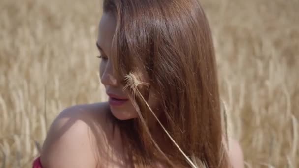 Porträtt härlig ung kvinna njuter av naturen och solljus i vete fältet på otroliga färgglada solstrålar. Söt självsäker tjej tittar på kameran. Lantlig livsstil. Real People-serien. — Stockvideo