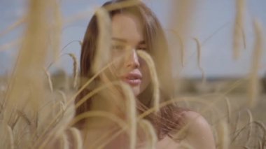 Portre ihale inanılmaz renkli güneş ışınları buğday alanında doğa ve güneş ışığı zevk büyüleyici genç kadın. Sevimli kendine güvenen kız saç düzleştirmek ve kamera bakıyor. Gerçek insanlar serisi.