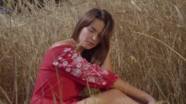 Genç büyüleyici kadın inanılmaz renkli güneş ışınları buğday alanında doğa ve güneş ışığı zevk. Sevimli kendine güvenen kız kameraya bakıyor. Gerçek insanlar serisi. Yavaş çekim.