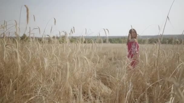 Mujer joven despreocupada disfrutando de la naturaleza y la luz del sol en el campo de trigo en increíbles rayos de sol de colores. Linda chica confiada mirando la cámara. Estilo de vida rural. Serie de personas reales. Movimiento lento . — Vídeos de Stock