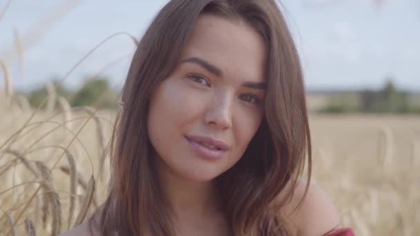 Retrato de mujer joven disfrutando de la naturaleza y la luz del sol en el campo de trigo en increíbles rayos de sol de colores. Linda chica confiada mirando la cámara al aire libre. Serie de personas reales. Movimiento lento . — Vídeos de Stock