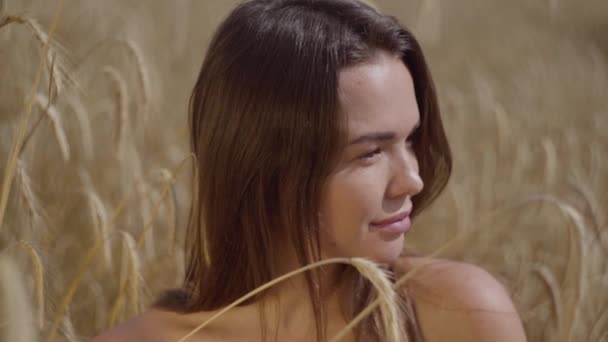 Retrato jovem mulher desfrutando da natureza e da luz solar no campo de trigo em incríveis raios solares coloridos. Menina confiante bonito olhando para a câmera. Série de pessoas reais. Movimento lento . — Vídeo de Stock