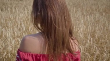 Çekici kadının arka görünümü keskin dönüm ve buğday alanında kamera bakarak, saç güzel yakın çekim çırpınan. Doğayla bağlantı, doğal güzellik. Hasat zamanı. Yavaş çekim