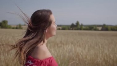 Buğday tarlasında uzanan uzun saçlı, saçları güzel çırpınan güzel kaygısız güzel bir kadının yan görünümü. Doğayla bağlantı, doğal güzellik. Gerçek insanlar serisi. Yavaş çekim.
