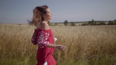 Buğday tarlasında uzanan uzun saçlı, saçları güzel çırpınan güzel kaygısız güzel bir kadının yan görünümü. Doğayla bağlantı, doğal güzellik. Gerçek insanlar serisi. Yavaş çekim.