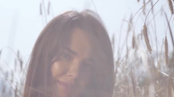 Крупним планом портрет привабливої жінки, яка позує на пшеничному полі, дивлячись на камеру, що сидить серед пшениці в м'якому світлі. Зв'язок з природою, природна краса. Час врожаю. Повільний рух — стокове відео