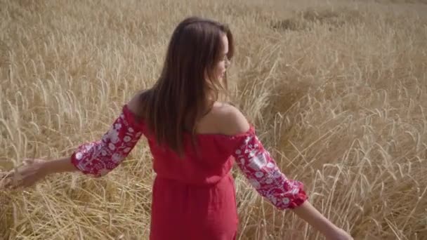 Young girl happily walking through a field touching with hand wheat ears. Carefree woman enjoying sunlight in wheat field at incredible colorful sun. Cute confident girl turns looking at camera. — Stock Video