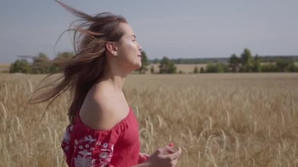 Zijaanzicht van een mooie zorgeloze vrouw met lang haar die door het tarwe veld loopt, haarfluttering prachtig. Verbinding met de natuur, natuurlijke schoonheid. Echte mensen serie. Slow Motion. — Stockvideo