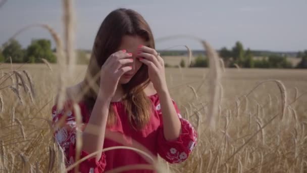 Pretty young woman enjoying nature and sunlight in wheat field at incredible colorful sun rays. Cute confident girl straightens hair and looking at camera. Real people series. — Stock Video