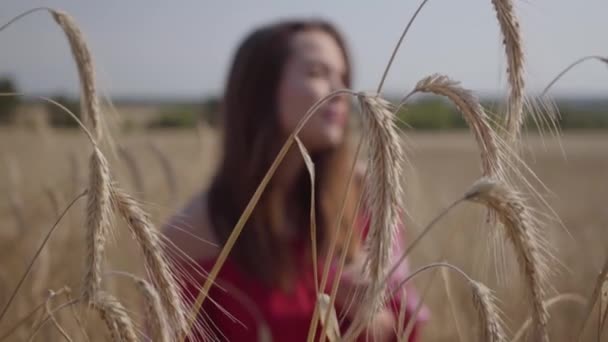 Mooie jonge vrouw genieten van de natuur en zonlicht in tarwe veld bij ongelooflijke kleurrijke zonnestralen. Schattig zelfverzekerd meisje kijkt naar camera. Echte mensen serie. — Stockvideo