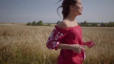 Buğday tarlasında uzanan uzun saçlı, saçları güzel çırpınan güzel kaygısız güzel bir kadının yan görünümü. Sevimli kendine güvenen kız kameraya bakarak döner. Gerçek insanlar serisi. Yavaş çekim.