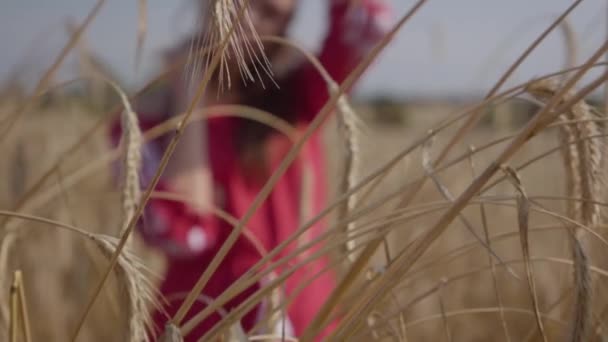 Mooie jonge vrouw genieten van de natuur en zonlicht in tarwe veld bij ongelooflijke kleurrijke zonnestralen. Schattig zelfverzekerd meisje kijkt naar camera. Echte mensen serie. — Stockvideo