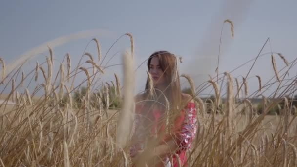 Jovem encantadora desfrutando da natureza e da luz solar no campo de trigo com incríveis raios solares coloridos. Menina confiante bonito ao ar livre. Série de pessoas reais . — Vídeo de Stock