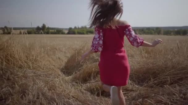 Urocza młoda dziewczyna działa w zwolnionym tempie przez pole. Beztroka kobieta ciesząc się światłem słonecznym w polu pszenicy. — Wideo stockowe