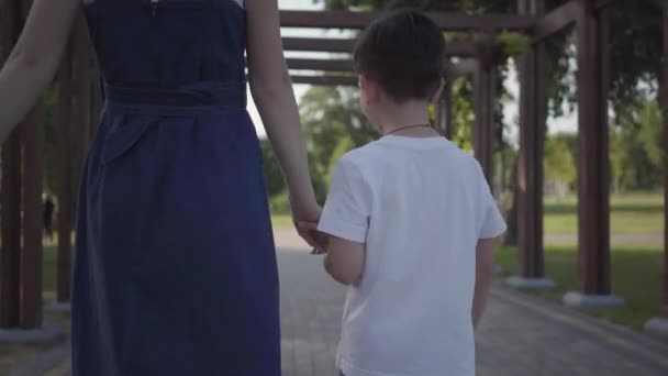 Starší sestra chodila s mladším bratrem a drží se za ruce v letním parku. Volný čas venku. Přátelské vztahy mezi sourozenci. Pohled zezadu — Stock video