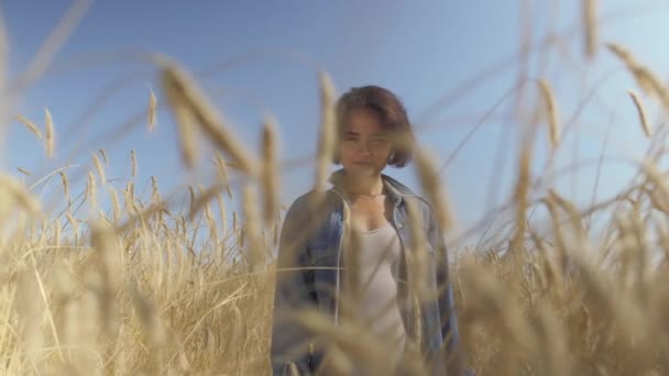 Portret van een aantrekkelijke vrouw met kort haar in jeans jasje staande op de tarwe veld. Gele tarwe oren op de voorgrond bij zonsopgang. Schattig zelfverzekerd meisje kijkt naar camera. Echte mensen serie. — Stockvideo