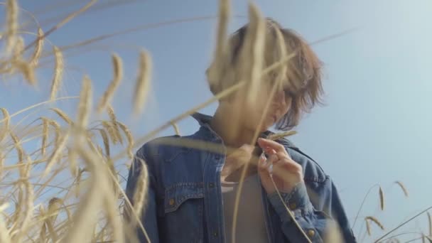 Портрет изящной молодой женщины с короткими волосами в джинсовой куртке, стоящей на пшеничном поле на восходе солнца. Уверенная беззаботная девушка на улице. Реальные люди . — стоковое видео