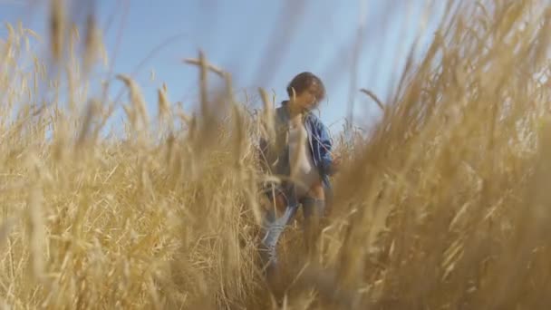 Ritratto adorabile giovane donna con i capelli corti in giacca jeans in piedi sul campo di grano all'alba. Fiduciosa ragazza spensierata all'aperto. Serie persone reali . — Video Stock