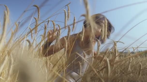 Mujer hábil vistiendo traje de cuerpo con pelo corto en el campo de trigo. espigas de trigo amarillo en primer plano. Chica disfruta de la naturaleza posando en la cámara. Chica segura y despreocupada al aire libre. Serie de personas reales — Vídeo de stock