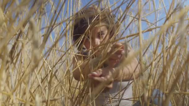 Una mujer encantadora con pelo corto en el campo de trigo. Chica disfruta de la naturaleza mirando y posando a la cámara. Chica segura y despreocupada al aire libre. Serie de personas reales — Vídeo de stock