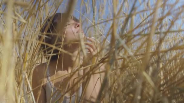 Elegante mujer de moda con el pelo corto fumar cigarrillo sentado entre el campo de trigo mirando hacia otro lado. Chica segura y despreocupada al aire libre. Serie de personas reales . — Vídeos de Stock