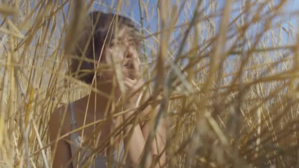 Cute fashion woman with short hair smoking cigarette sitting among the wheat field looking away. Confident carefree girl outdoors. Real people series. — Stock Video