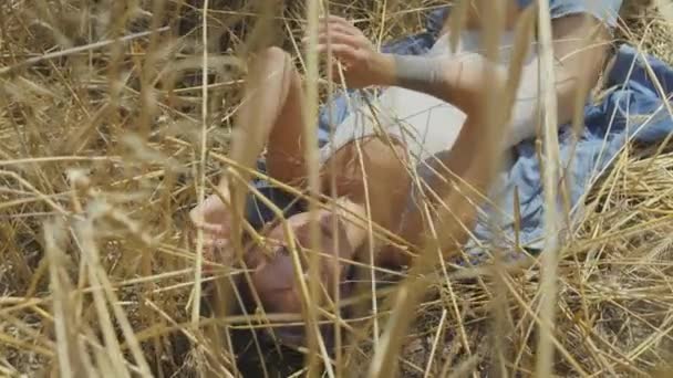 Милая женщина в телесном костюме с короткими волосами, лежащая на пшеничном поле. Девушке нравится смотреть на природу и позировать перед камерой. Уверенная беззаботная девушка на улице. Реальные люди — стоковое видео