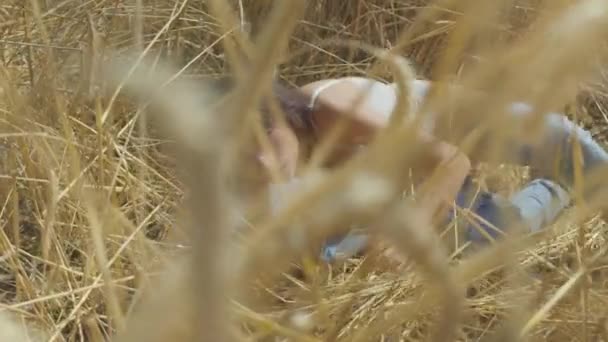 Навичка жінка в костюмі з коротким волоссям лежить на пшеничному полі. Дівчина насолоджується природою, дивлячись і позуючи на камеру. Впевнена безтурботна дівчина на вулиці. Серія реальних людей — стокове відео