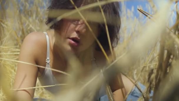 Стильная женщина с короткими волосами в телесном костюме отдыхает на пшеничном поле. Девушке нравится смотреть на природу и позировать перед камерой. Уверенная беззаботная девушка на улице. Реальные люди — стоковое видео