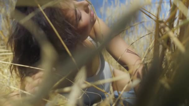 Mujer hábil con pelo corto que usa traje de cuerpo relajándose en el campo de trigo. Chica disfruta de la naturaleza mirando y posando a la cámara. Chica segura y despreocupada al aire libre. Serie de personas reales — Vídeos de Stock