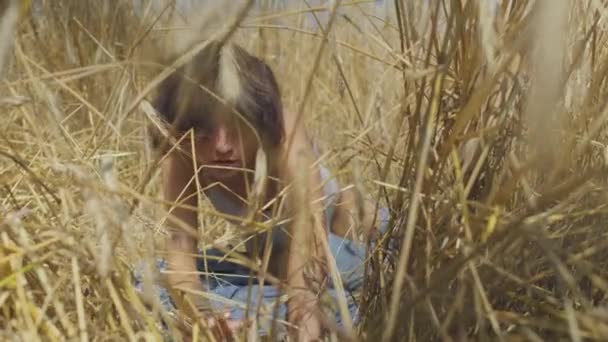 Kısa saç ile sevimli kadın vücut kıyafeti buğday alanında rahatlatıcı giyiyor. Kız kamera görünümlü ve poz doğa sahiptir. Kendine güvenen kaygısız kız açık havada. Gerçek insanlar serisi — Stok video