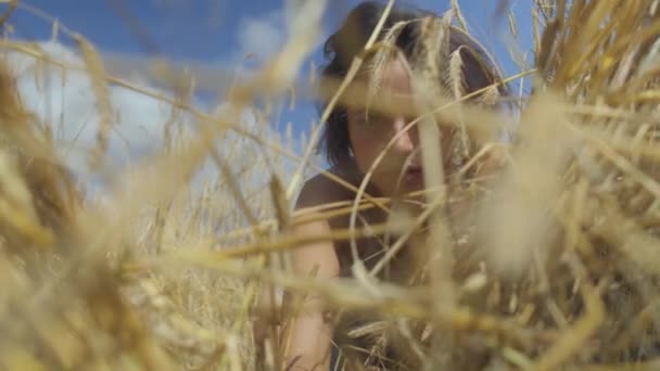 小麦畑でリラックスした短い髪を持つシックな女性。女の子は、カメラで見て、ポーズ自然を楽しんでいます。自信を持って気楽な女の子屋外。リアルピープルシリーズ — ストック動画