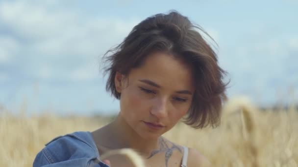 Portrétní stylová žena s krátkými vlasy uvolňující se na pšeničném poli. Dívka si užívá přírody a pózní v kameře. Sebevědomí bezstarostně opatrná dívka venku. Série skutečných lidí — Stock video