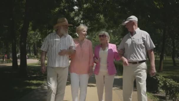 Twee schattige volwassen koppels wandelen in het Park praten en glimlachen. Dubbele datum van senior koppels. Vriendelijk bedrijf dat buiten rust. Oude mannen en vrouwen ontmoetten elkaar. Gezonde Senior gepensioneerde mensen. — Stockvideo