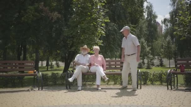 Zwei ältere Männer und eine Frau winken im Park. Reife Menschen, die sich im Freien ausruhen, aktiver Lebensstil. Fröhliche Senioren. — Stockvideo