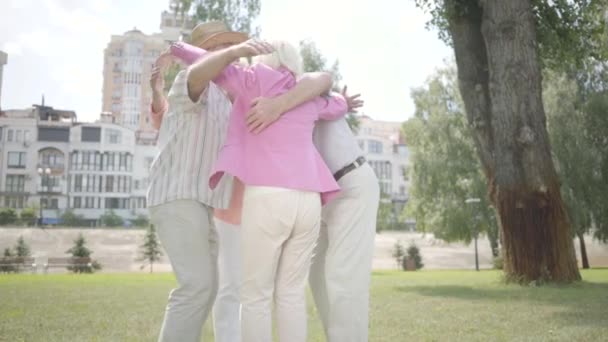 Dois casais maduros bonitos abraçando no parque juntos de pé em círculo. Encontro duplo de casais seniores. Empresa amigável descansando ao ar livre. Velhos homens e mulheres sorrindo alegremente. Movimento lento . — Vídeo de Stock