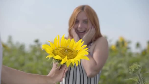 Mano de hombre irreconocible dando flor a la chica jengibre de pie en el campo de girasol. Una relación romántica. Vida rural — Vídeos de Stock