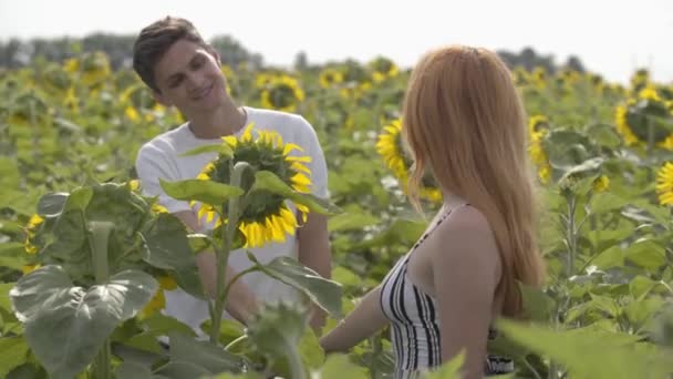 Schönes glückliches Paar, das zusammen auf dem Sonnenblumenfeld tanzt. Ingwermädchen mit ihrem Freund, der sich im Freien ausruht. Verbindung mit der Natur. Freiheitsbegriff. Glückliche Teenager im Freien. — Stockvideo