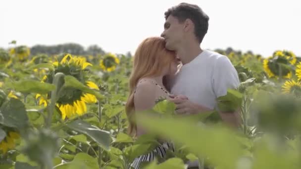 Beautiful happy couple dancing together on the sunflower field, the woman spinning around. Ginger girl with her boyfriend resting outdoors. Connection with nature. Romantic date — Stock Video