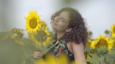 Ayçiçeği tarlasında duran oldukça kıvırcık eğlenceli gülümseyen kız. Parlak sarı renk. Özgürlük kavramı. Mutlu kadın açık havada